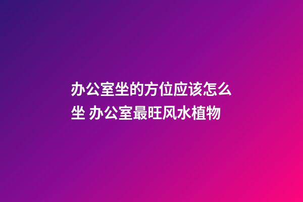 办公室坐的方位应该怎么坐 办公室最旺风水植物